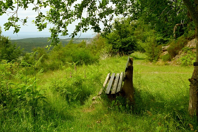 啊这…C罗专访“加时赛”实际是在英国Channel5频道播出已发布内容