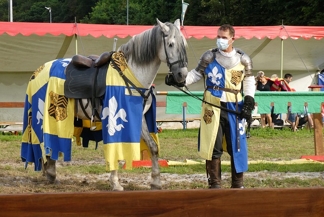 稳定门
