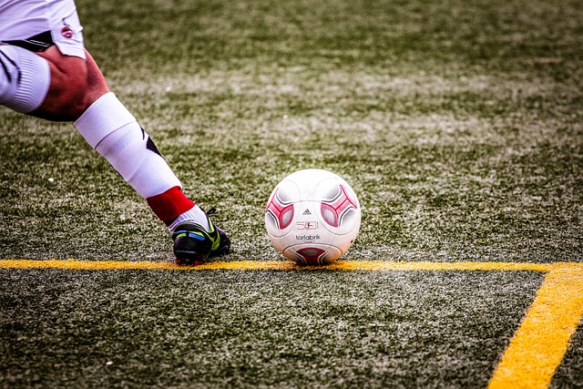 定点联赛总 定点联赛总