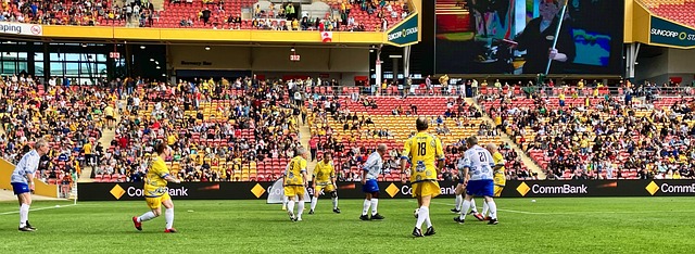 指挥就是这 指挥就是这