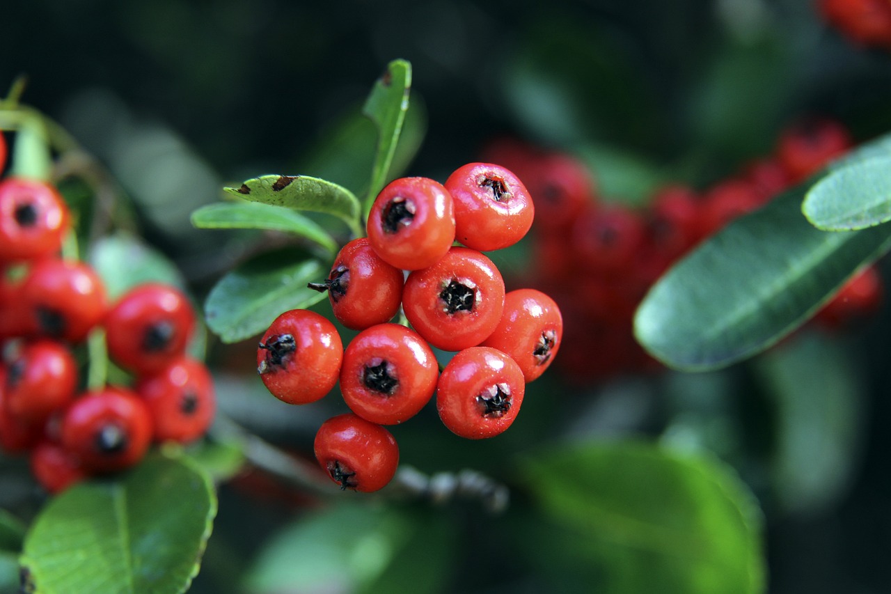 家庭的支持 家庭的支持